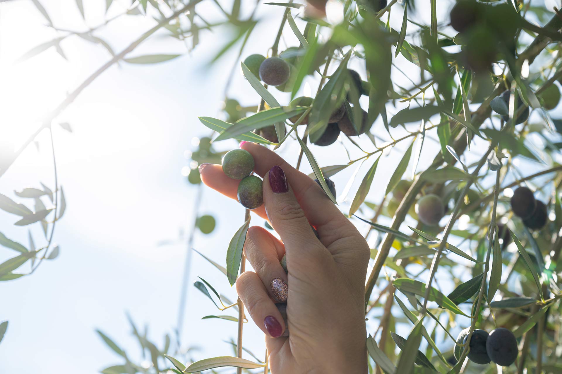 Περιβάλλον και Συνεταιρισμός