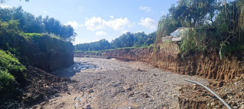 Ο Κερεζενιάς που έδωσε ζωή στον Ιστορικός Ελαιώνας των Αρχαίων Φαρών Καλαμάτας